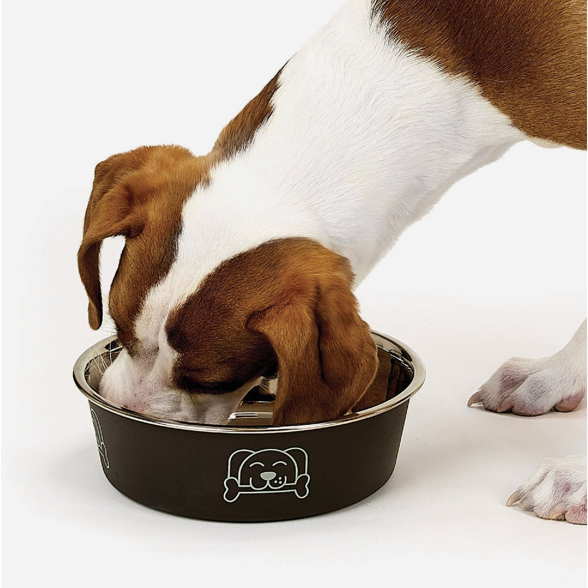 Boss Pet ProSelect XL Espresso Goodie Bowl Image 2