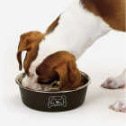 Boss Pet ProSelect XL Espresso Goodie Bowl Image 2