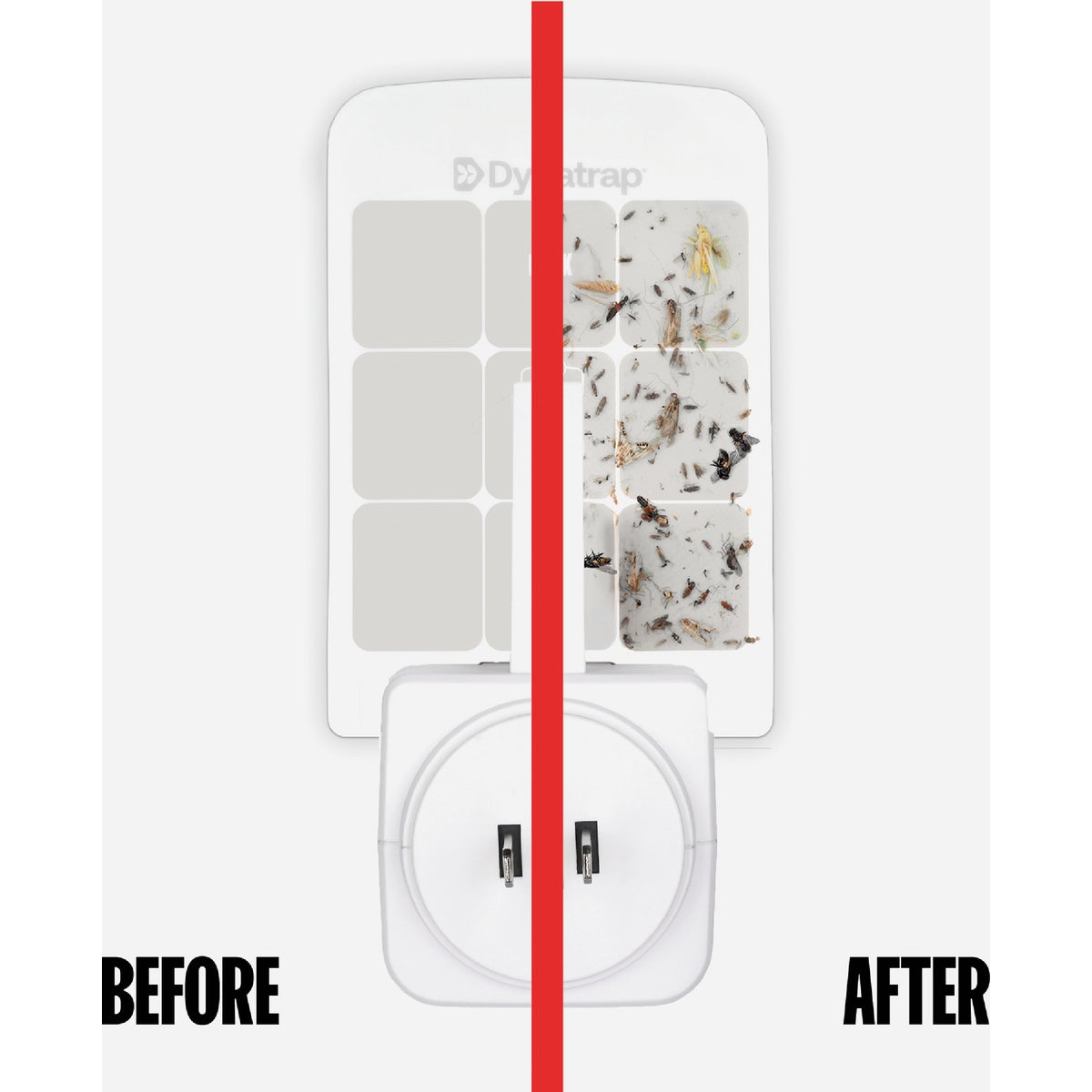 Dynatrap Indoor Fly Trap Glue Card Refills (6-Pack) Image 2