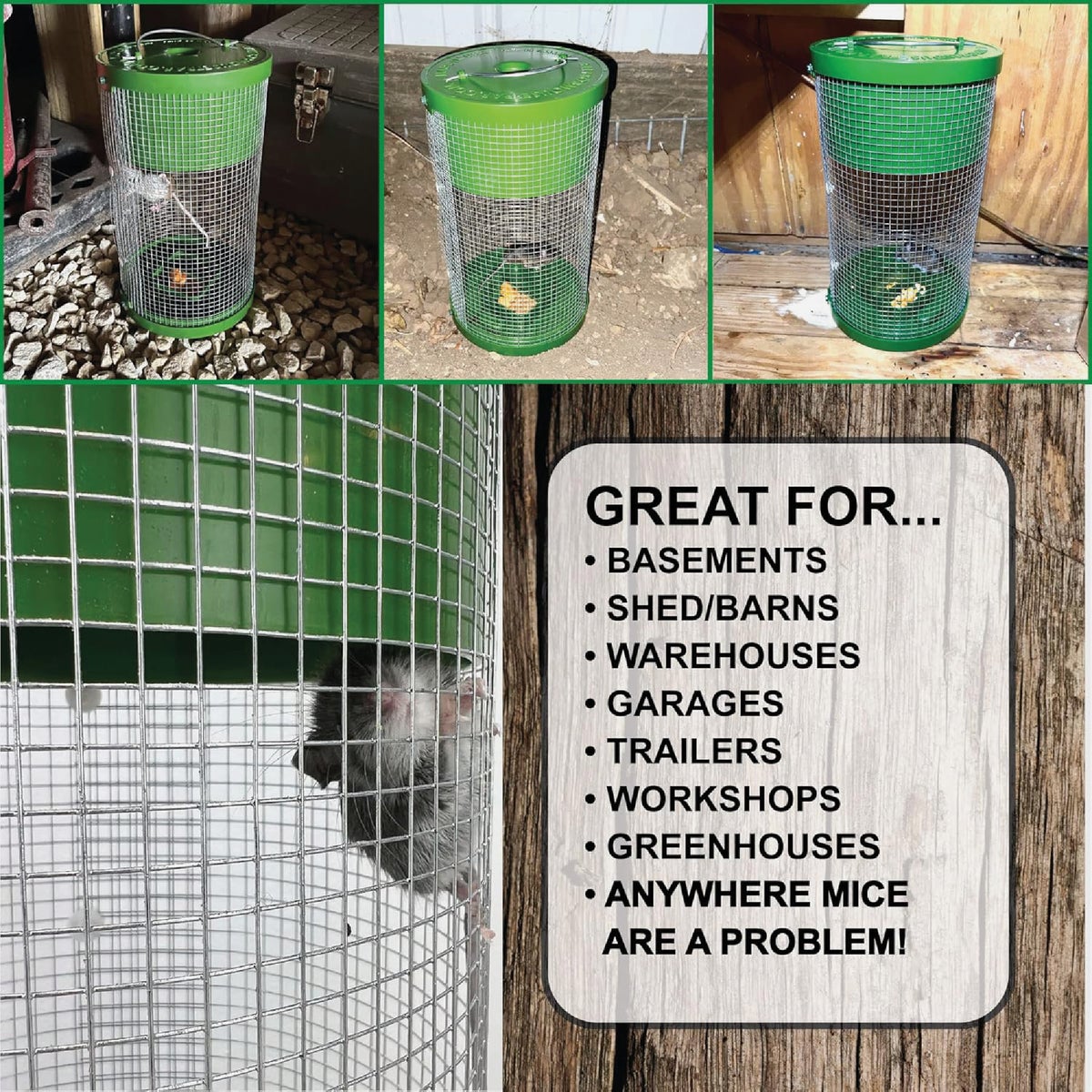 Billy-Bob Multi-Catch Mouse Trap Image 6