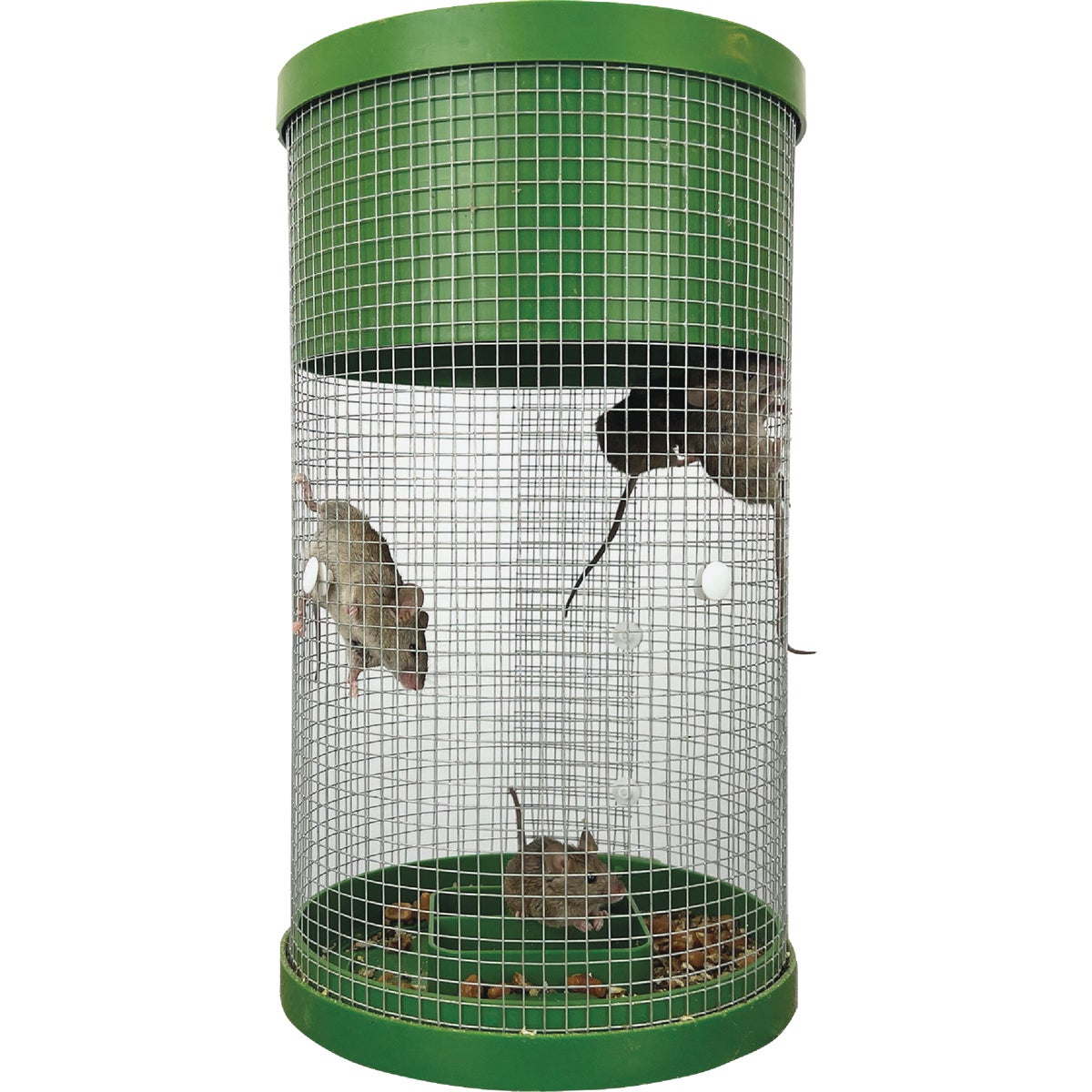 Billy-Bob Multi-Catch Mouse Trap Image 8