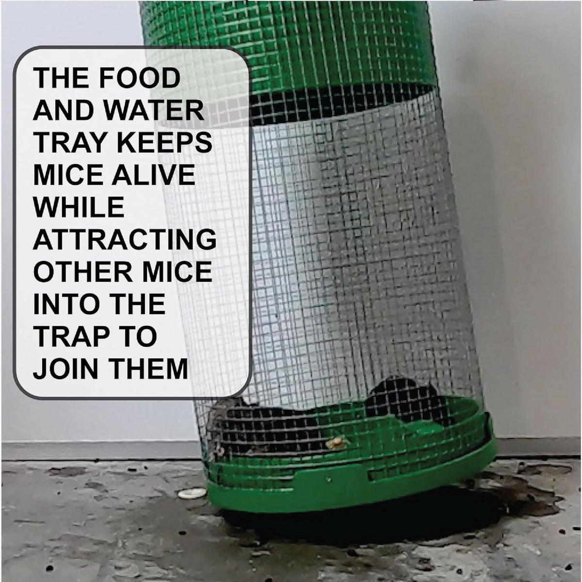 Billy-Bob Multi-Catch Mouse Trap Image 3