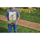 Scotts DiseaseEx 10 Lb. 5000 Sq. Ft. Broad Spectrum Disease Prevention and Control Lawn Fungicide Image 5