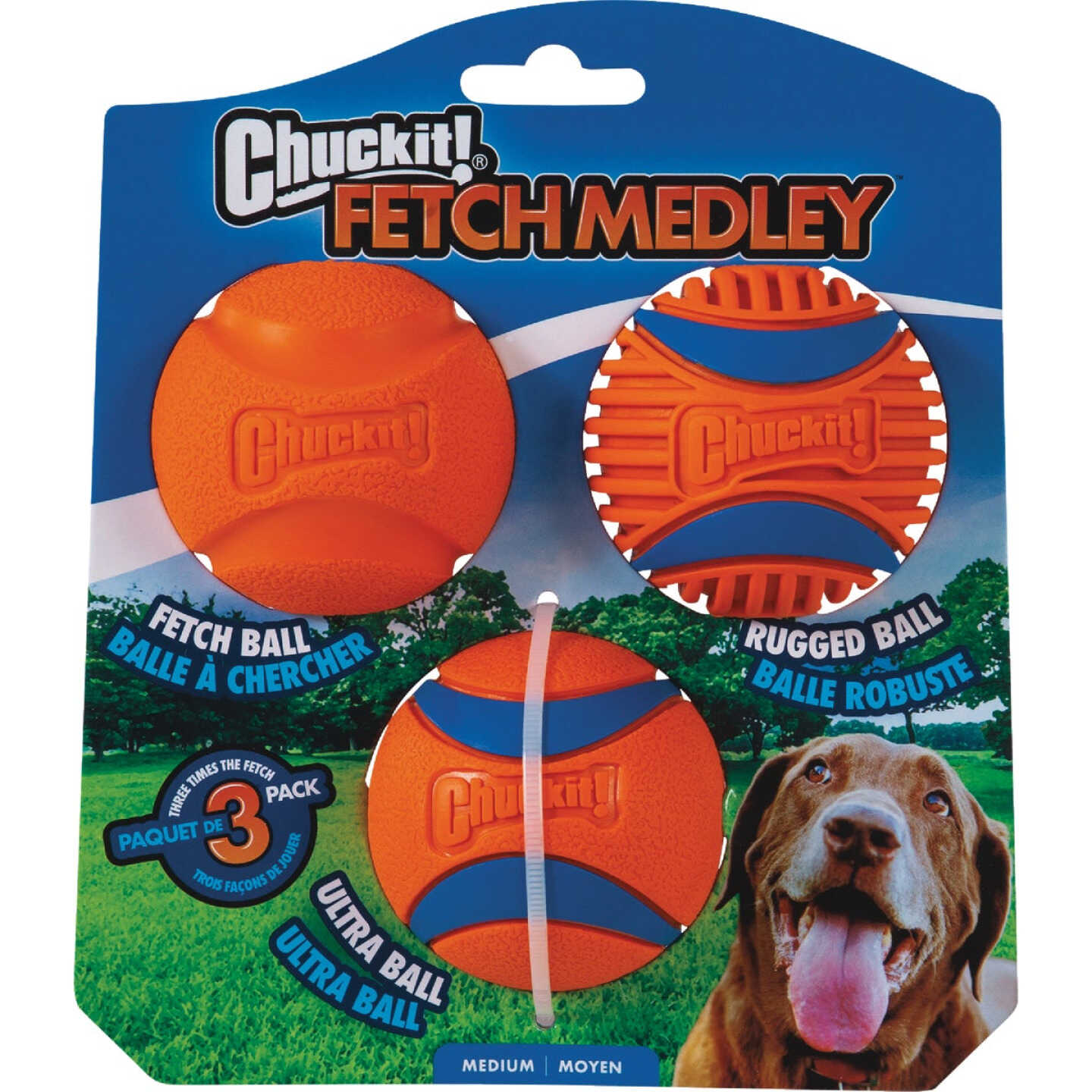 Chuckit Fetch Medley Medium Ball (3-Pack) Image 1