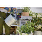 Miracle-Gro Performance Organics 1 Lb. Edibles Plant Nutrition Image 4