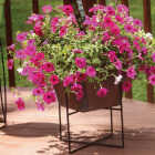 American Gardenworks Urban Living Matte Black Powder Coated Steel 14 In. Floor Pot Holder Image 3