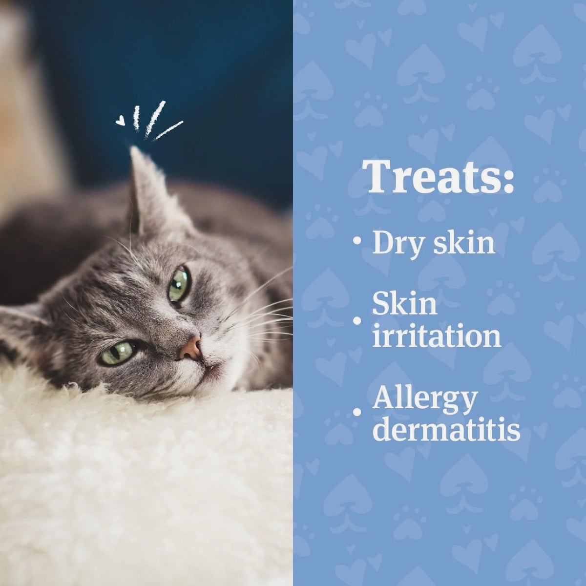 PetArmor 4 Oz. Anti-Itch Spray for Dogs & Cats Image 3