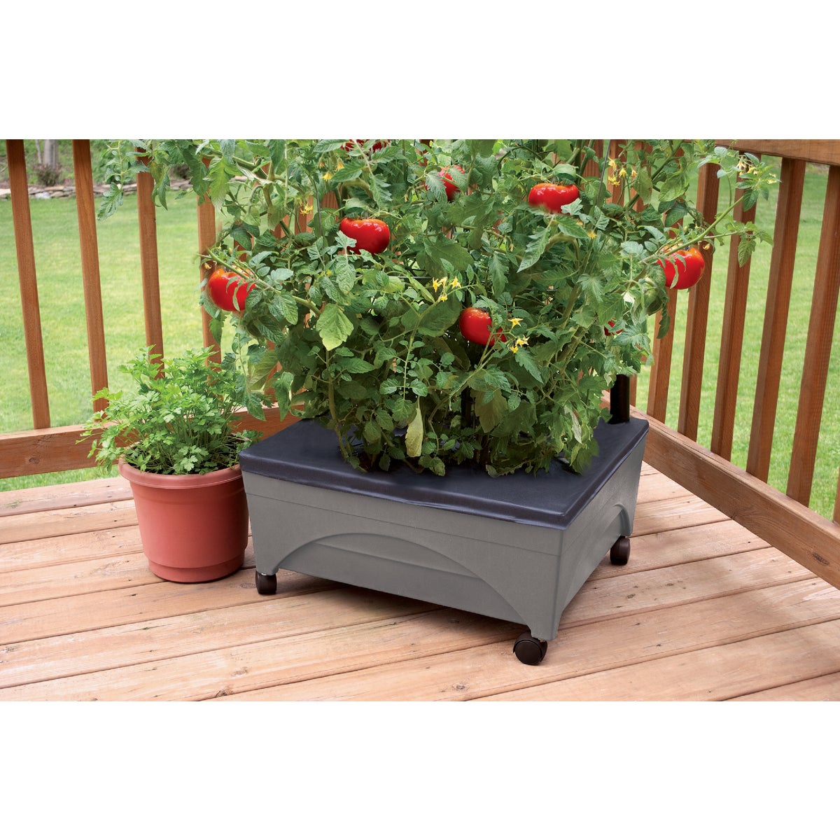 City Pickers 20 In. W. x 11 In. H. x 24 In. L. Slate Polyethylene Portable Patio Garden Kit Image 2