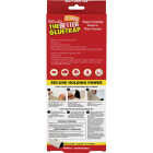 Intruder The Better GlueTrap with Canopy (2-Pack) Image 5