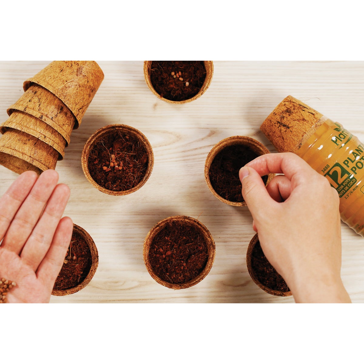 PlantBest 3.25 In. Coconut Coir Plantable Pot (8-Pack) Image 2