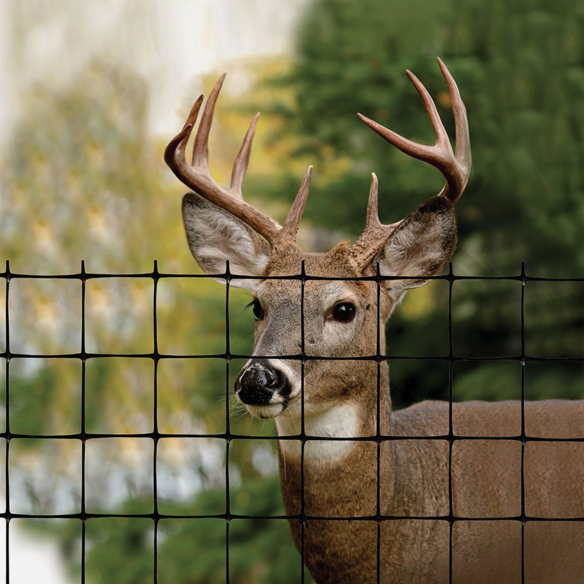 Tenax 7.5 Ft. H. x 100 Ft. L. Polypropylene Deer Fence, Black Image 2