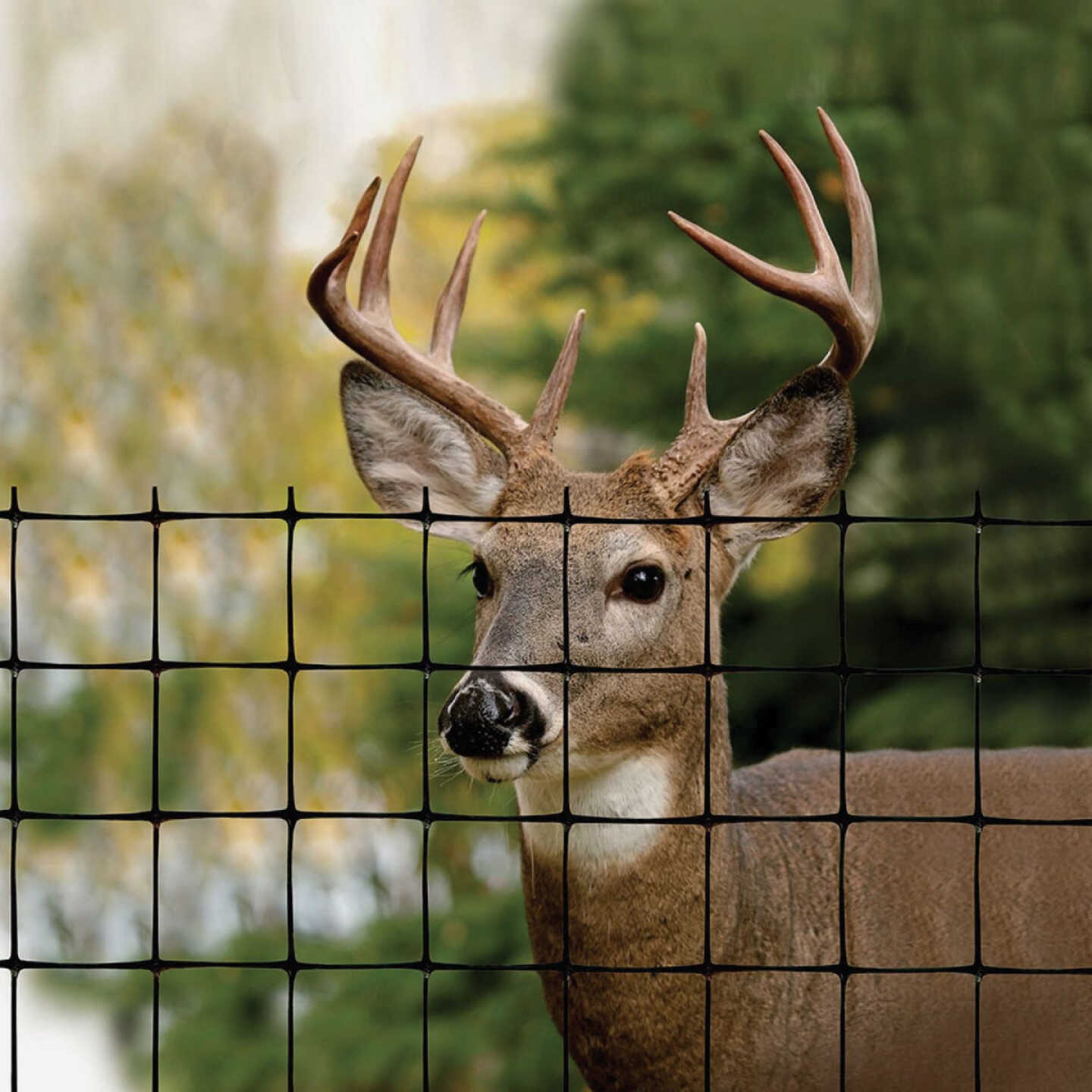 Tenax 7.5 Ft. H. x 100 Ft. L. Polypropylene Deer Fence, Black Image 2