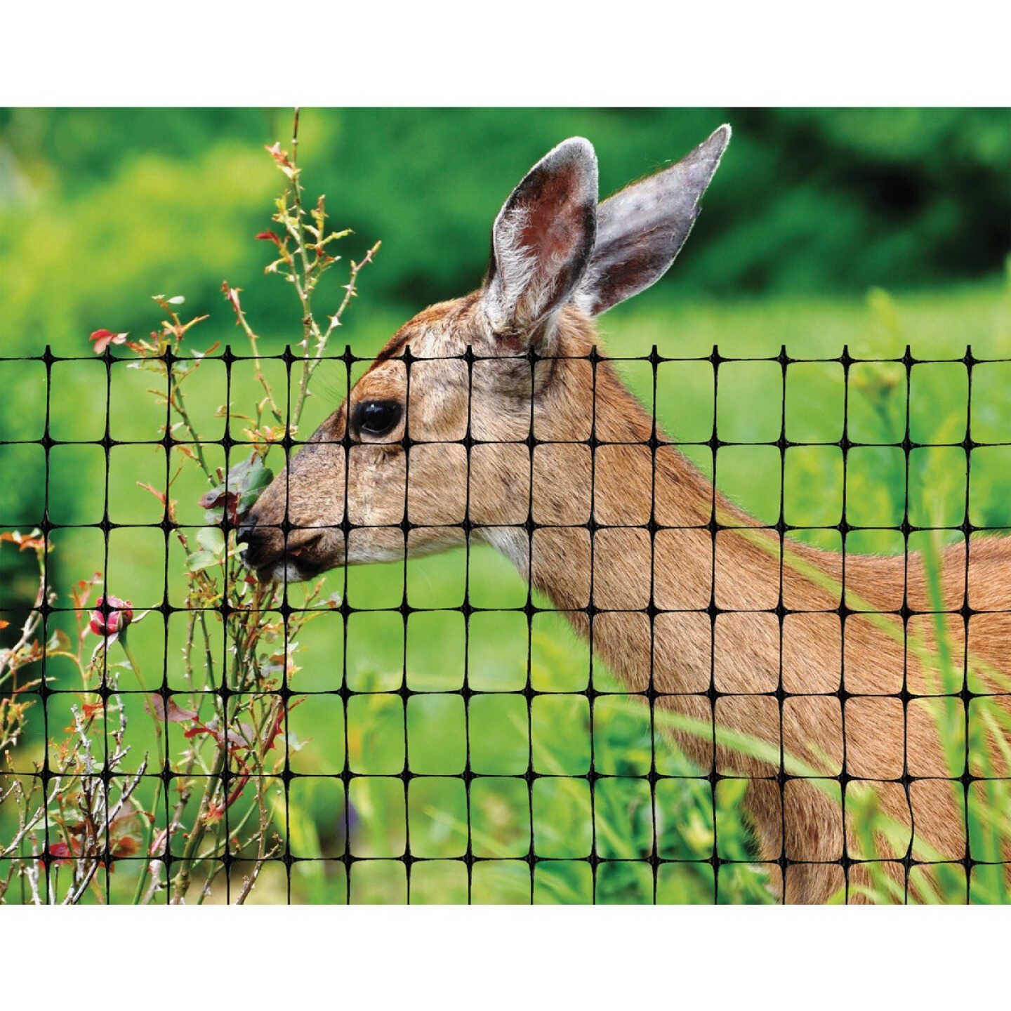 Tenax Deer Net 7 Ft. H. x 100 Ft. L. Polypropylene Deer Fence, Black Image 2