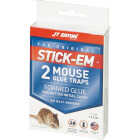 JT Eaton Stick-Em Glue Mouse Trap (2-Pack) Image 3