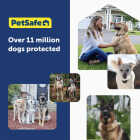 PetSafe Guardian GPS + Tracking Dog Fence Collar Image 3
