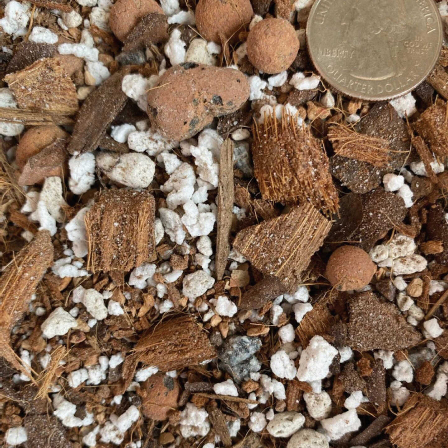 Sol Soils 4 Qt. Succulent Gritty Mix Image 4