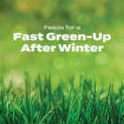 Scotts Turf Builder 13.35 Lb. 5000 Sq. Ft. Halts Crabgrass Preventer with Lawn Food Image 3