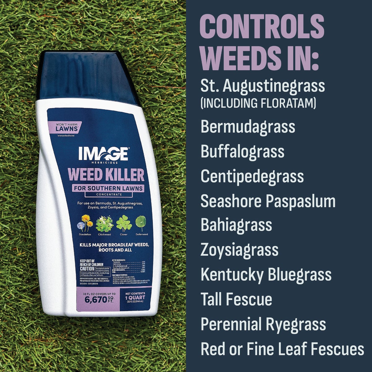 Image Southern Lawn 1 Qt. Concentrate Weed Killer Image 6
