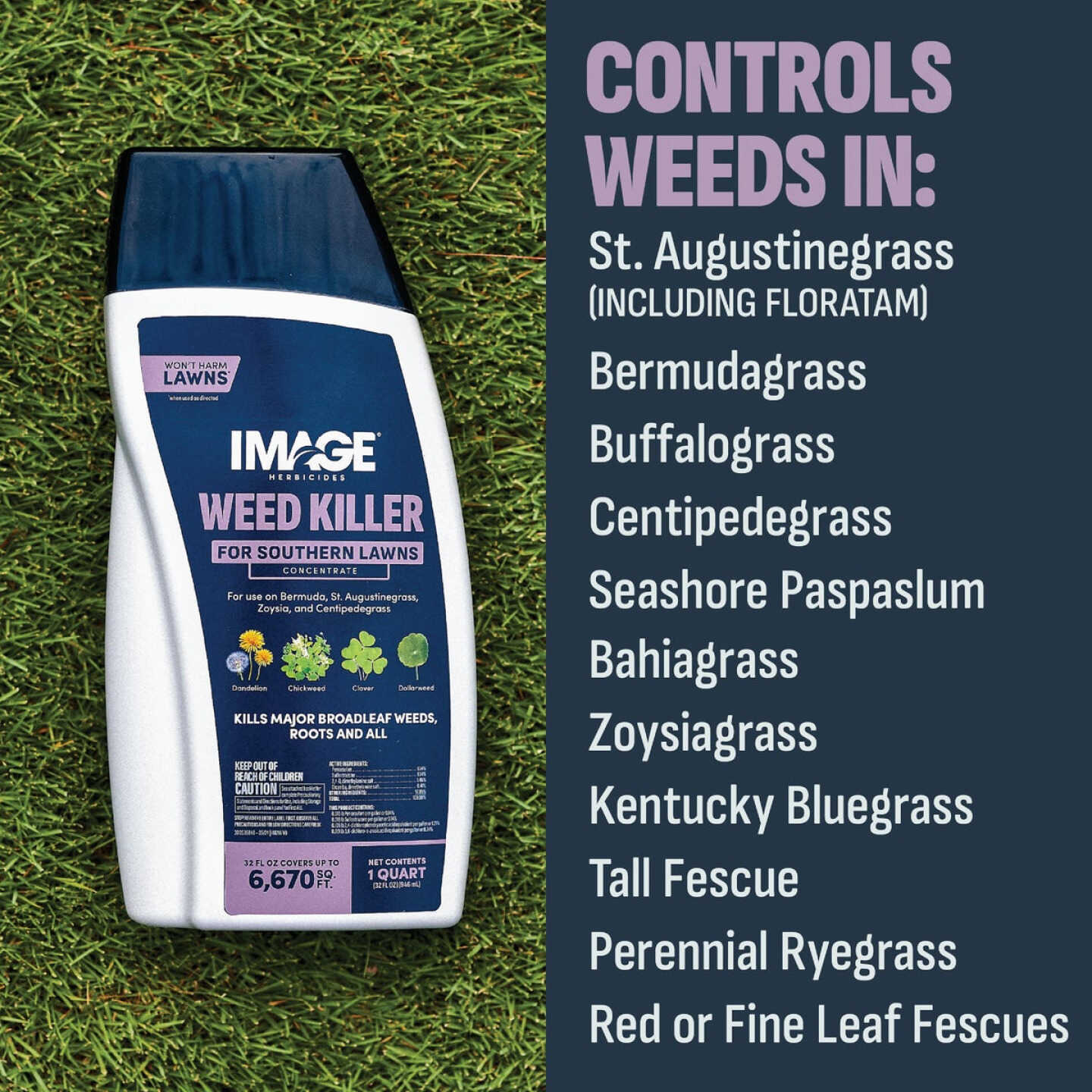 Image Southern Lawn 1 Qt. Concentrate Weed Killer Image 6