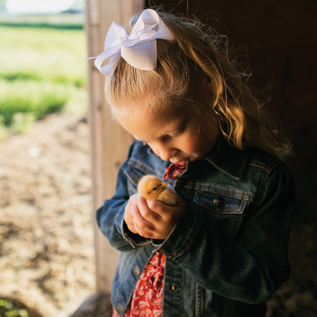 Standlee Premium Western Forage Sweet Coop 5 Lb. Bedding Enhancer Image 6