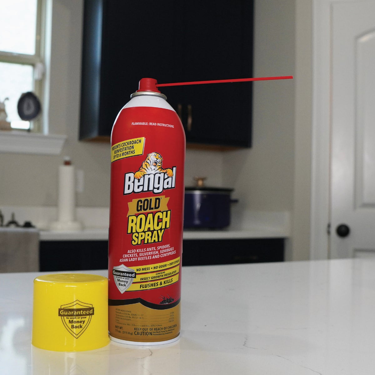 Bengal Gold 11 Oz. Aerosol Spray Roach Killer Image 2