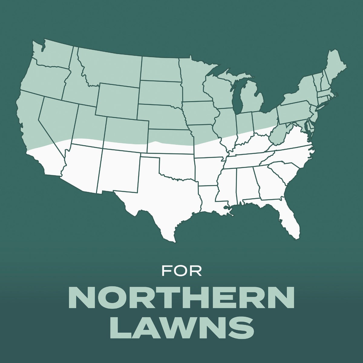 Scotts Turf Builder 5.6 Lb. 465 Sq. Ft. Dense Shade Mix Grass Seed, Fertilizer, and Soil Improver Combination Image 6