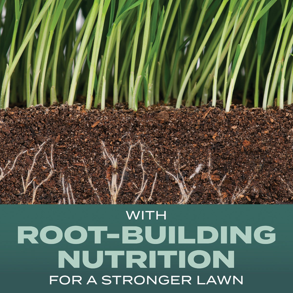 Scotts Turf Builder 5.6 Lb. 465 Sq. Ft. Dense Shade Mix Grass Seed, Fertilizer, and Soil Improver Combination Image 2