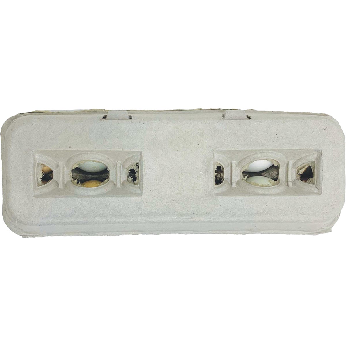 Stromberg's Large Blank Egg Carton (25-Count)