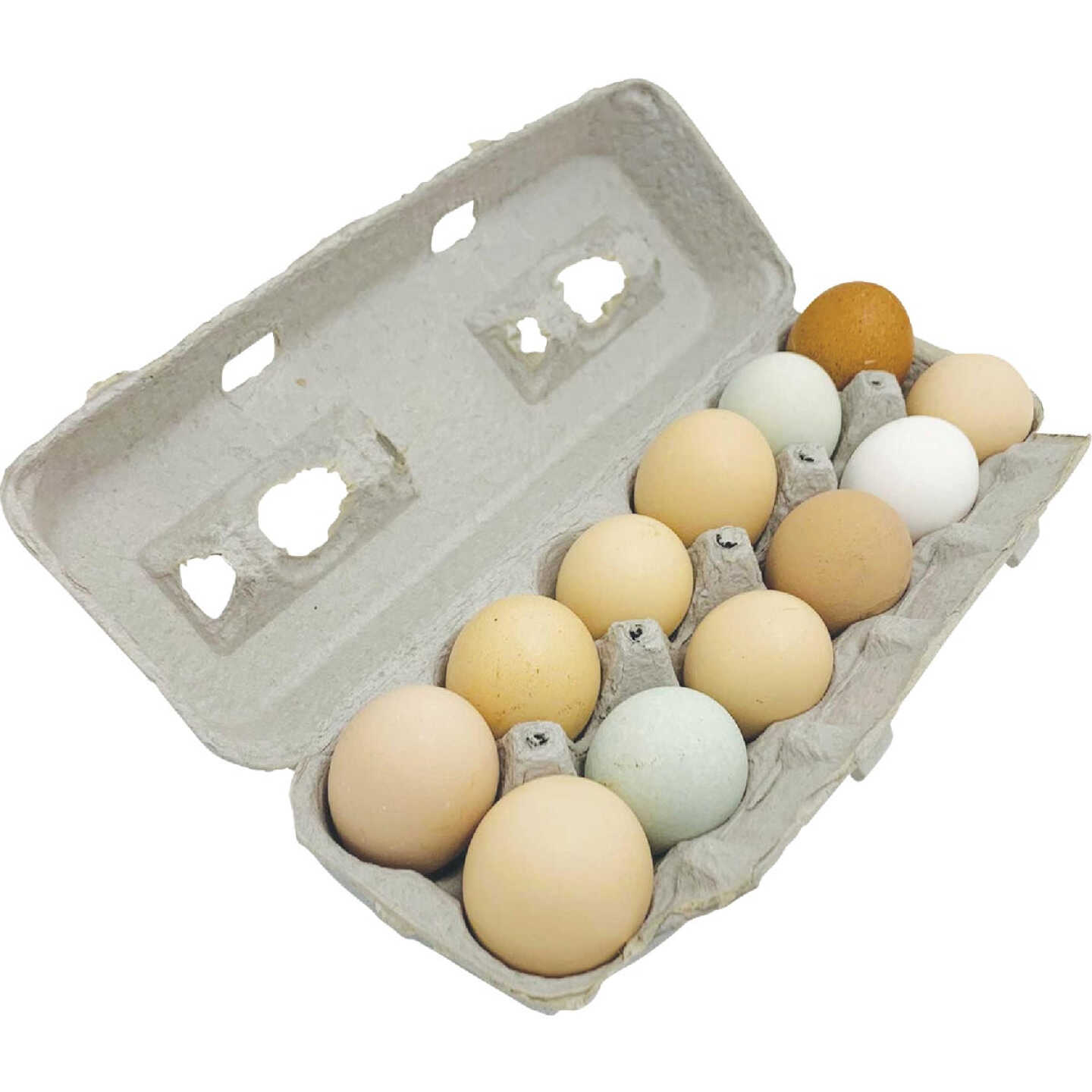 Stromberg's Large Blank Egg Carton (25-Count) Image 2