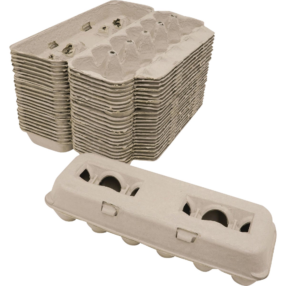 Stromberg's Large Blank Egg Carton (25-Count) Image 3