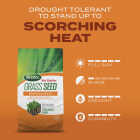 Scotts Turf Builder 1 Lb. 330 Sq. Ft. Bermudagrass Grass Seed, Fertilizer, and Soil Improver Combination Image 7
