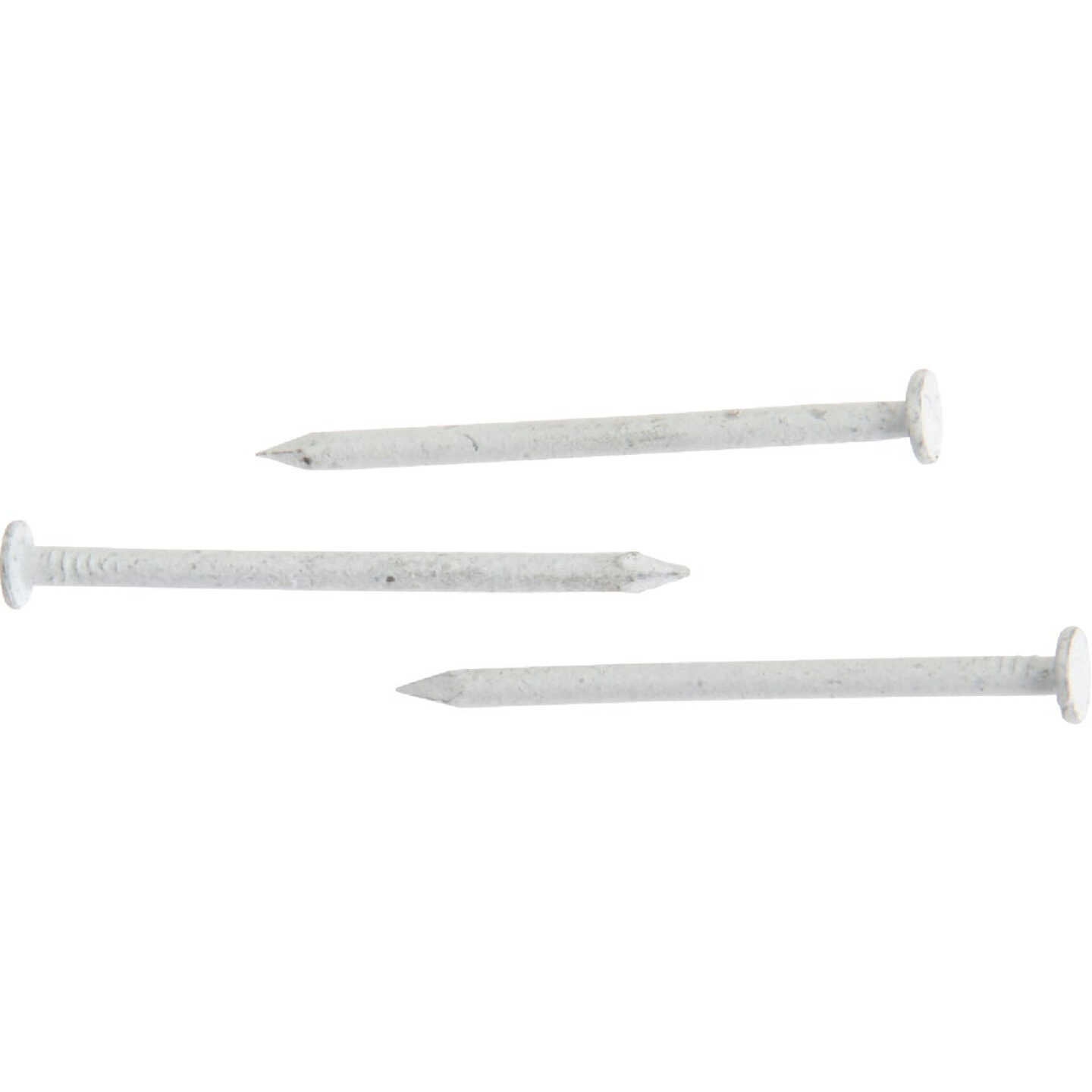 Do it 1-1/4 In. 15 ga White Stainless Steel Trim Nails (649 Ct., 1 Lb.) Image 2