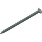 Do it 20d x 4 In. 6 ga Hot Galvanized Common Nails (145-Count, 5 Lb.) Image 1