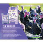NatureServe 10 Lb. Turkey/Gamebird Starter Image 2