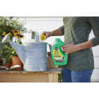 Miracle-Gro Quick Start 48 Oz. Liquid Planting & Transplant Starting Solution Image 4