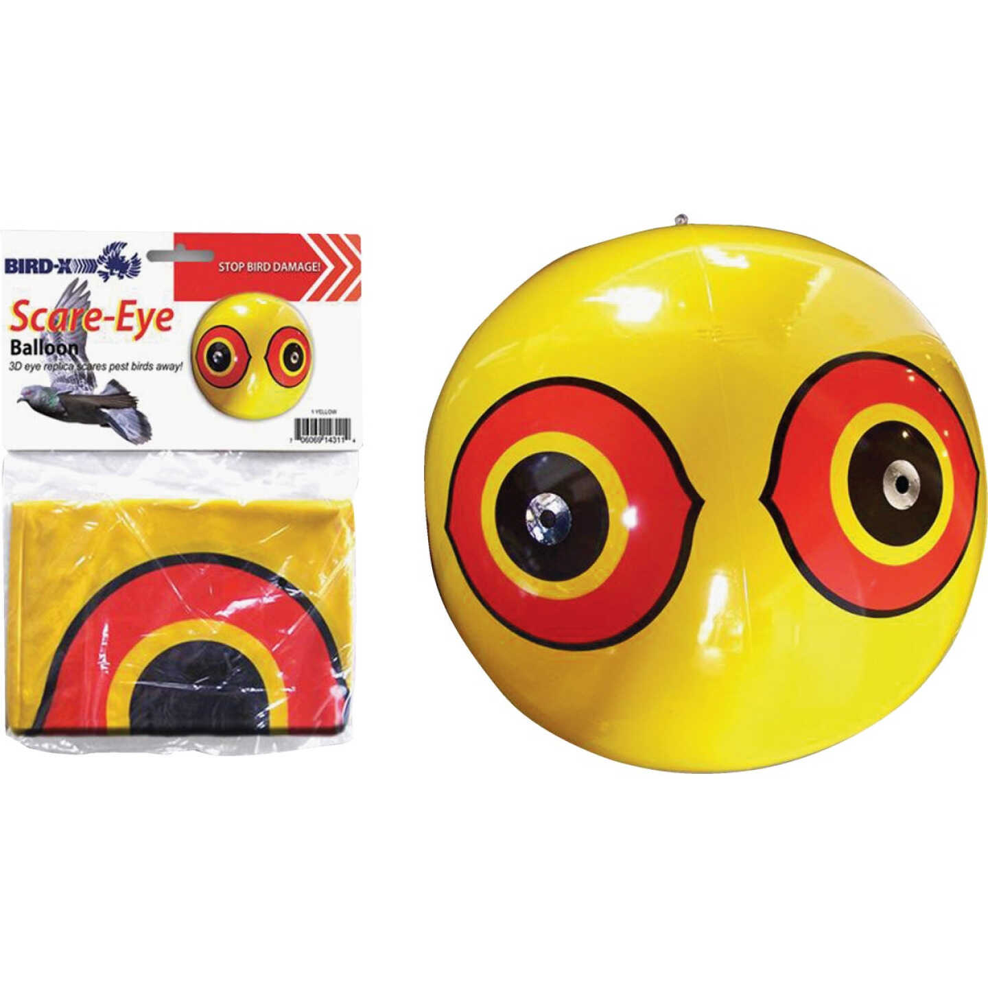 Bird X Scare-Eye 20 In. Inflatable Eye Pest Deterrent Decoy Image 1