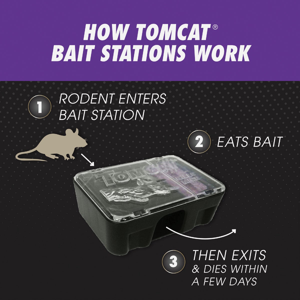 Tomcat Advanced Formula Disposable Mouse Bait Station (2-Pack) Image 4