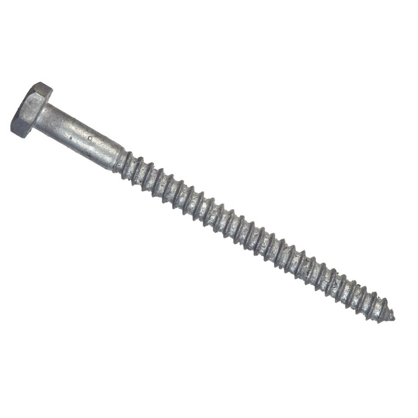 Hillman 1/2 In. x 8 In. Galvanized Hex Lag Screw (25-Count) Image 1