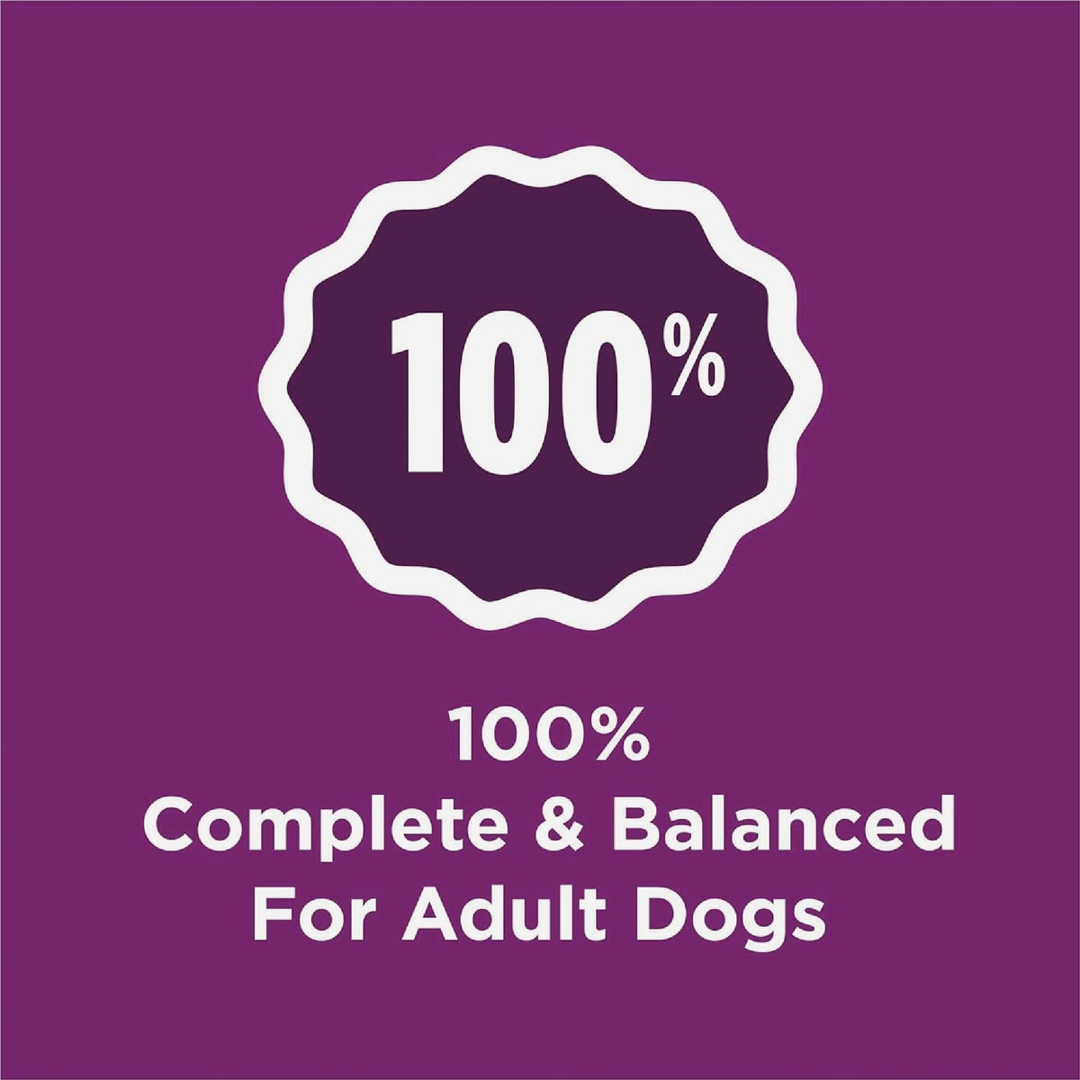 Purina Dog Chow Complete 44 Lb. Lamb Adult Dry Dog Food Image 7