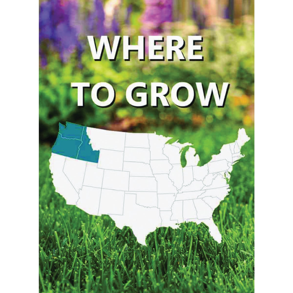Jonathan Green Black Beauty Pacific Northwest 3 Lb. 2250 Sq. Ft. Coverage Tall Fescue Grass Seed Image 2