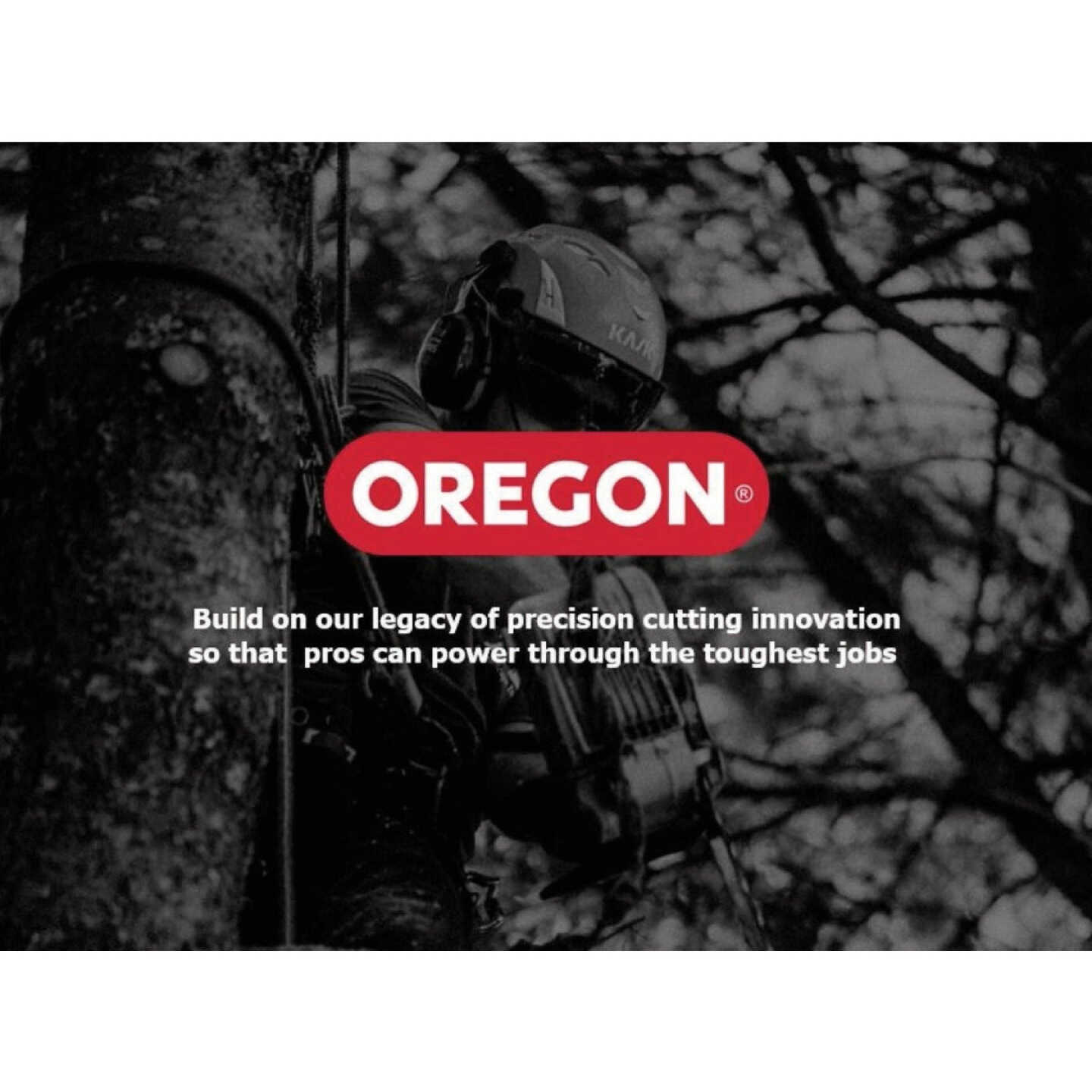 Oregon 3/16 In. Chainsaw File Guide Image 3