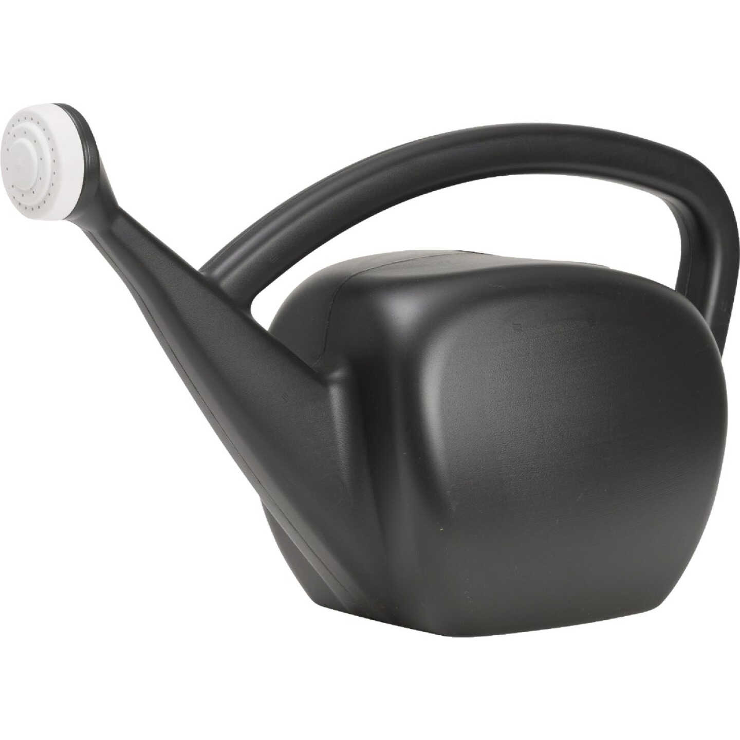 Novelty Root & Vessel 2 Gal. Lime Black Mid-Mod Watering Can Image 1