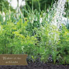 Preen 5 Lb. Ready To Use Granules Natural Vegetable Garden Weed Preventer Image 5