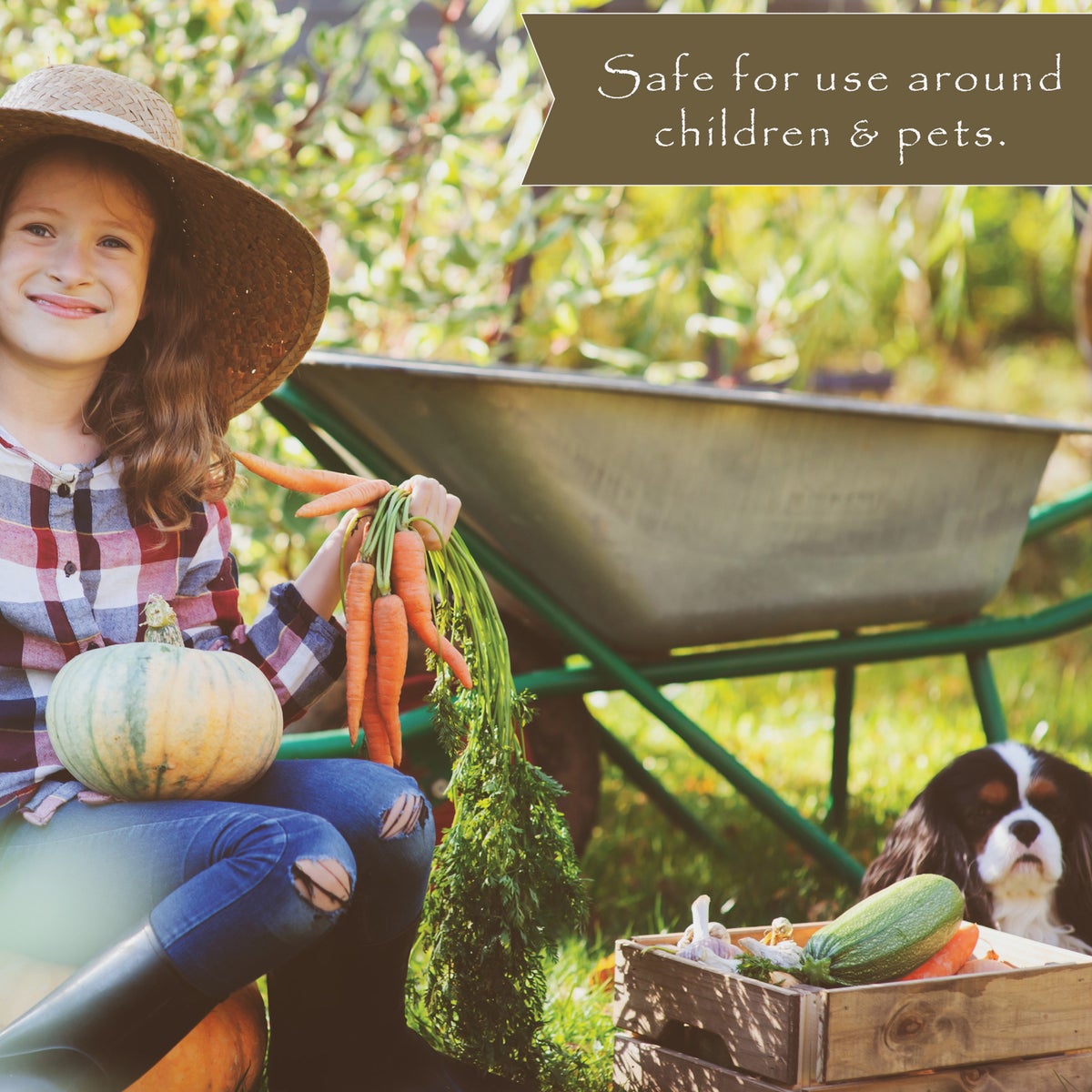 Preen 5 Lb. Ready To Use Granules Natural Vegetable Garden Weed Preventer Image 6