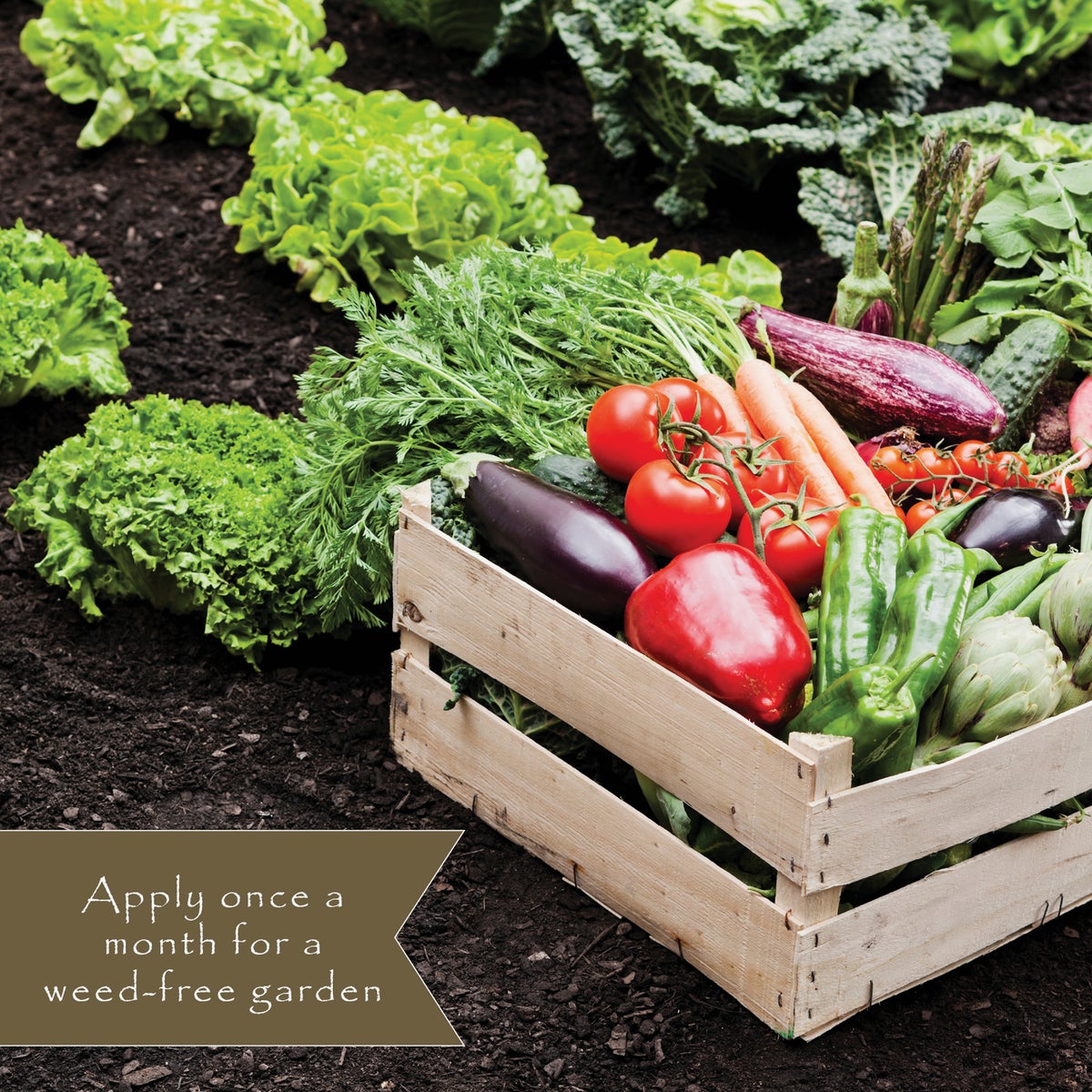 Preen 5 Lb. Ready To Use Granules Natural Vegetable Garden Weed Preventer Image 7