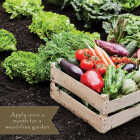 Preen 5 Lb. Ready To Use Granules Natural Vegetable Garden Weed Preventer Image 7