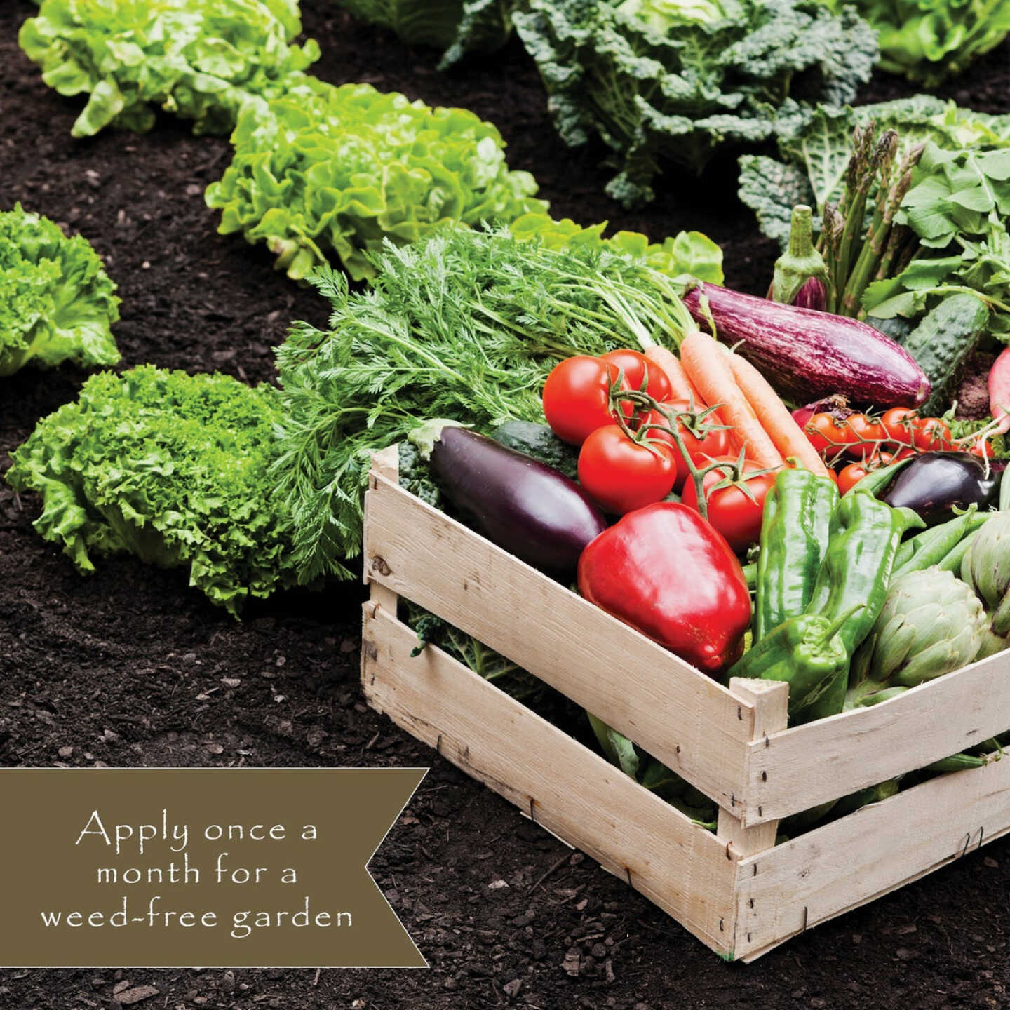 Preen 5 Lb. Ready To Use Granules Natural Vegetable Garden Weed Preventer Image 7