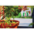 Osmocote Smart-Release 4.5 Lb. Flower & Vegetable Plant Food Image 4
