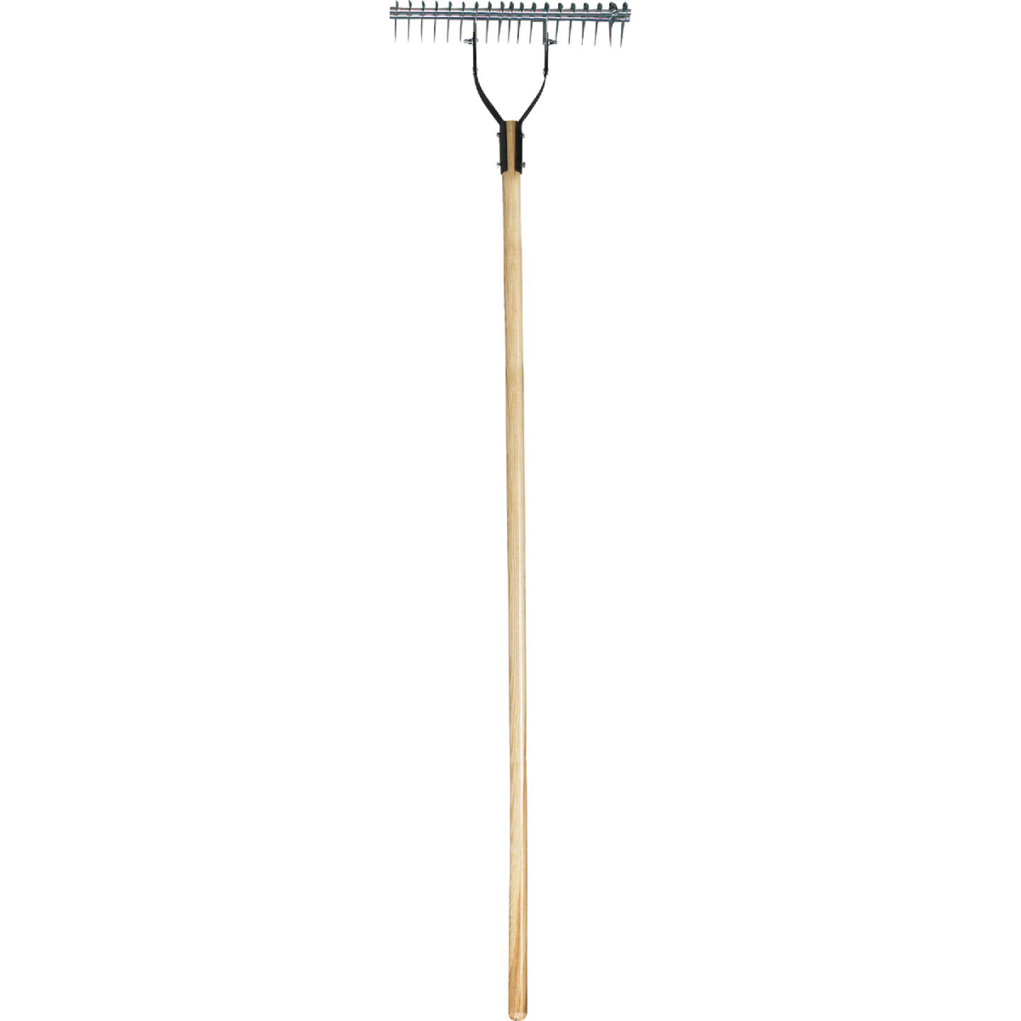 Corona 15 In. Thatch and Groom Rake (19-Tine) Image 2