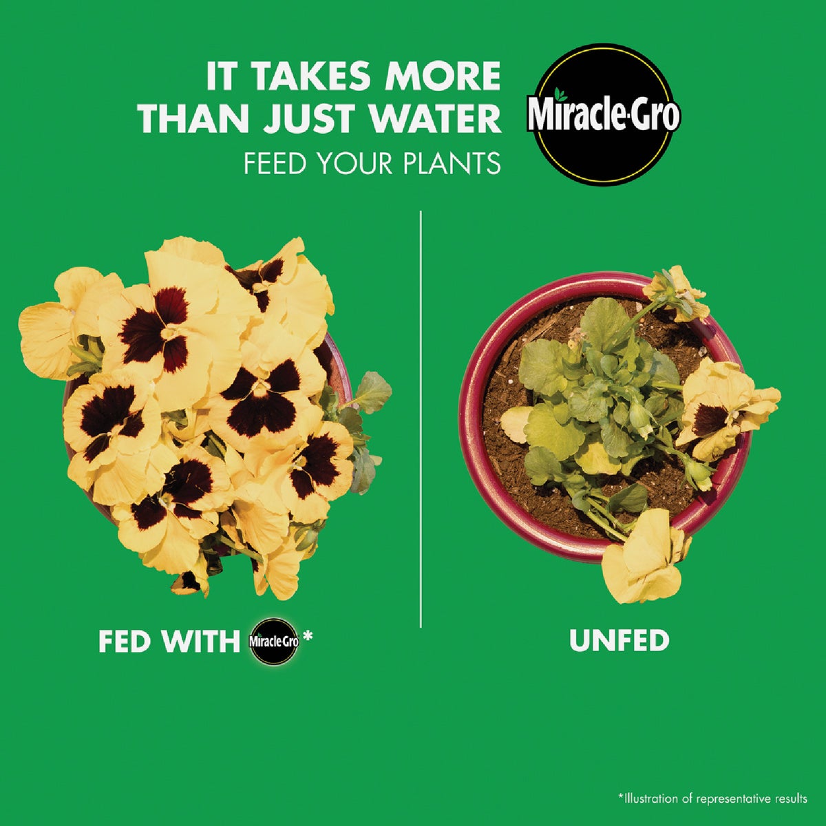 Miracle-Gro LiquaFeed Bloom Booster 16 Oz. Liquid Flower Food (2-Pack) Image 2